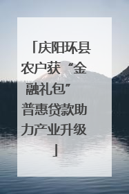 庆阳环县农户获“金融礼包” 普惠贷款助力产业升级