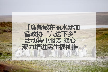 廉毅敏在丽水参加省政协“六送下乡”活动集中服务 凝心聚力增进民生福祉推进共同富裕