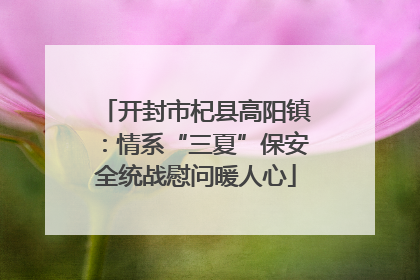 开封市杞县高阳镇：情系“三夏”保安全统战慰问暖人心