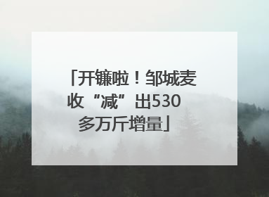 开镰啦！邹城麦收“减”出530多万斤增量