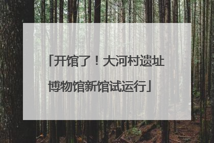 开馆了！大河村遗址博物馆新馆试运行