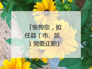 张传宗，拟任县（市、区）党委正职