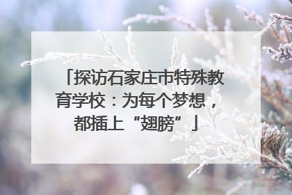 探访石家庄市特殊教育学校：为每个梦想，都插上“翅膀”