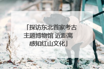探访东北首家考古主题博物馆 近距离感知红山文化