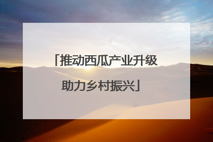 推动西瓜产业升级 助力乡村振兴