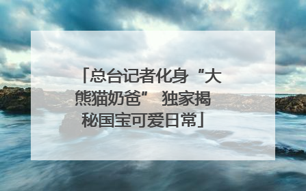 总台记者化身“大熊猫奶爸” 独家揭秘国宝可爱日常