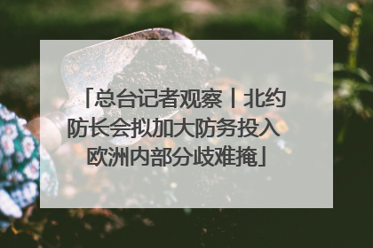 总台记者观察丨北约防长会拟加大防务投入 欧洲内部分歧难掩