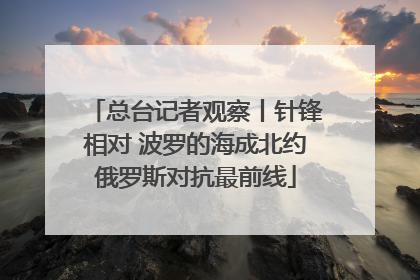 总台记者观察丨针锋相对 波罗的海成北约俄罗斯对抗最前线