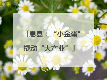 息县：“小金蛋”撬动“大产业”