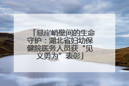 悬崖峭壁间的生命守护：湖北省妇幼保健院医务人员获“见义勇为”表彰