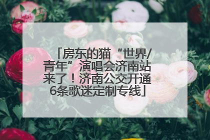 房东的猫“世界/青年”演唱会济南站来了！济南公交开通6条歌迷定制专线