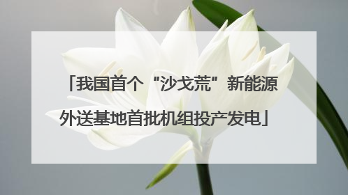 我国首个“沙戈荒”新能源外送基地首批机组投产发电