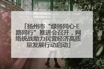 扬州市“绿扬同心·E路同行”推进会召开，网络统战助力民营经济高质量发展行动启动