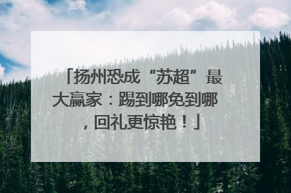 扬州恐成“苏超”最大赢家：踢到哪免到哪，回礼更惊艳！