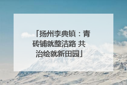 扬州李典镇：青砖铺就整洁路 共治绘就新田园