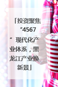 投资聚焦“4567”现代化产业体系，黑龙江产业换新景