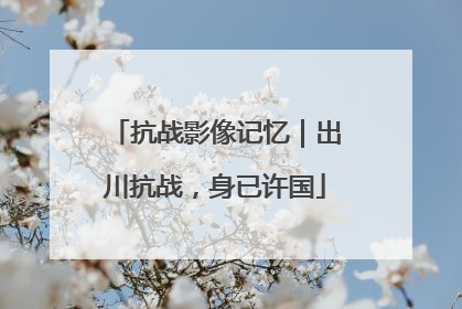 抗战影像记忆｜出川抗战，身已许国