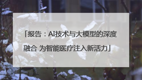 报告：AI技术与大模型的深度融合 为智能医疗注入新活力