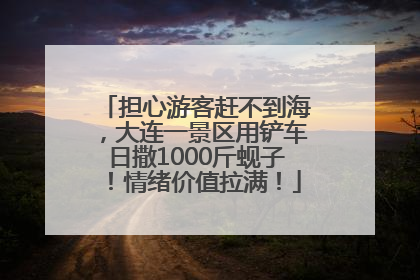 担心游客赶不到海，大连一景区用铲车日撒1000斤蚬子！情绪价值拉满！