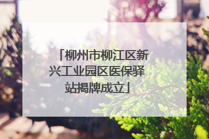柳州市柳江区新兴工业园区医保驿站揭牌成立
