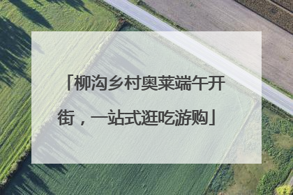 柳沟乡村奥莱端午开街，一站式逛吃游购
