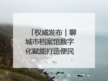 权威发布｜聊城市档案馆数字化赋能打造便民服务新模式