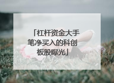 杠杆资金大手笔净买入的科创板股曝光