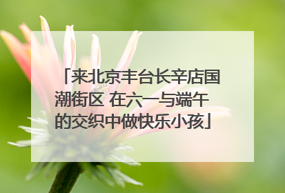 来北京丰台长辛店国潮街区 在六一与端午的交织中做快乐小孩