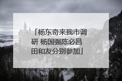 杨东奇来我市调研 杨国强陈必昌田和友分别参加