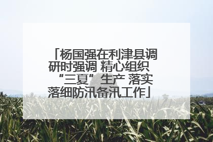 杨国强在利津县调研时强调 精心组织“三夏”生产 落实落细防汛备汛工作