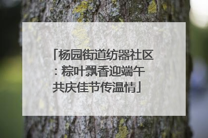 杨园街道纺器社区：粽叶飘香迎端午 共庆佳节传温情