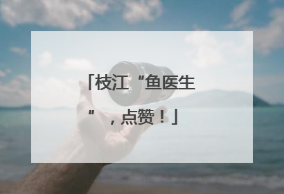 枝江“鱼医生”，点赞！