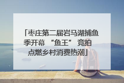枣庄第二届岩马湖捕鱼季开幕 “鱼王” 竞拍点燃乡村消费热潮