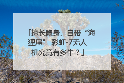 擅长隐身、自带“海狸尾” 彩虹-7无人机究竟有多牛？