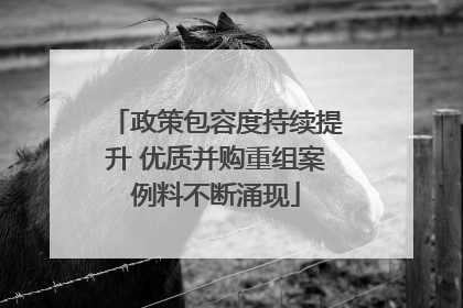 政策包容度持续提升 优质并购重组案例料不断涌现
