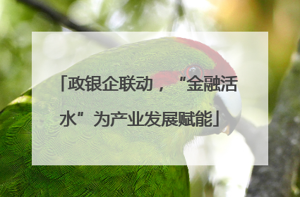 政银企联动，“金融活水”为产业发展赋能