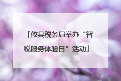 攸县税务局举办“智税服务体验日”活动