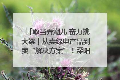 敢当弄潮儿 奋力挑大梁｜从卖绿电产品到卖“解决方案”！溧阳立足产业优势建成五大微电网示范项目
