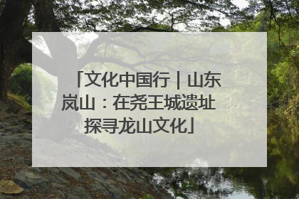 文化中国行｜山东岚山：在尧王城遗址探寻龙山文化