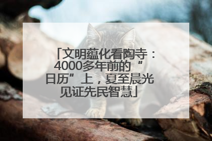 文明蕴化看陶寺：4000多年前的“日历”上，夏至晨光见证先民智慧