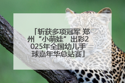 斩获多项冠军 郑州“小萌娃”出彩2025年全国幼儿手球嘉年华总站赛