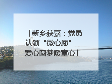 新乡获嘉：党员认领“微心愿” 爱心圆梦暖童心