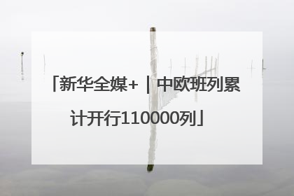 新华全媒+｜中欧班列累计开行110000列