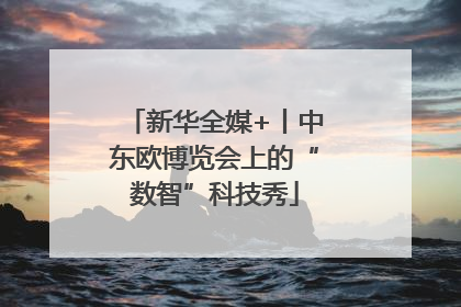 新华全媒+丨中东欧博览会上的“数智”科技秀