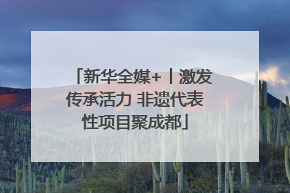 新华全媒+丨激发传承活力 非遗代表性项目聚成都