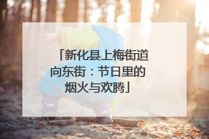 新化县上梅街道向东街：节日里的烟火与欢腾
