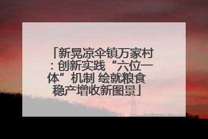 新晃凉伞镇万家村：创新实践“六位一体”机制 绘就粮食稳产增收新图景