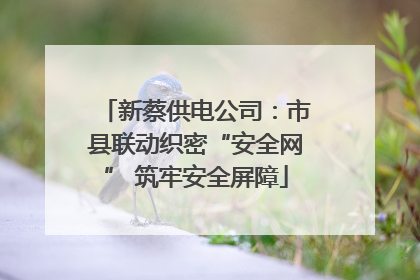 新蔡供电公司：市县联动织密“安全网” 筑牢安全屏障
