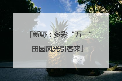 新野：多彩“五一” 田园风光引客来