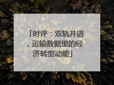 时评：双轨并进，运输数据里的经济转型动能